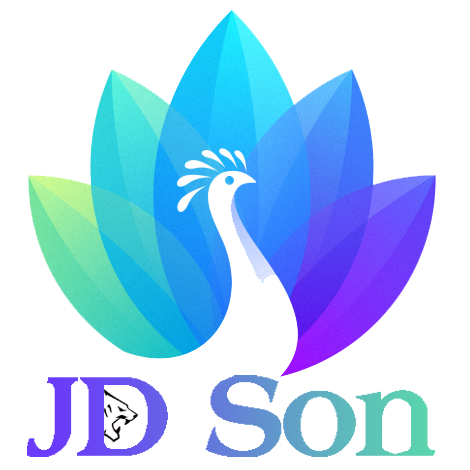 JD SON LLC