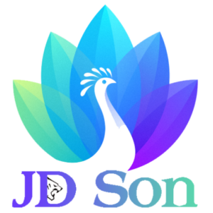 JD SON LLC