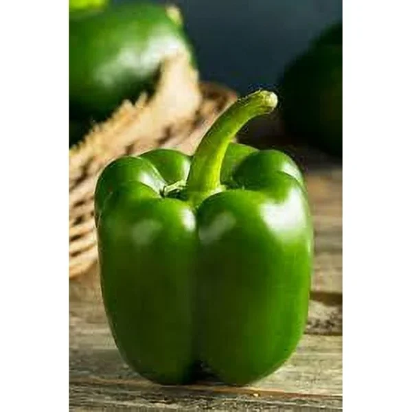 Capsicum Green Color About 60+ Seeds Pack – Vegetable Seeds by The JD®