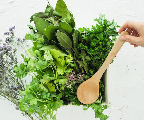 Culinary Harvest: Exploring the World of Herbs From Seed to Plate