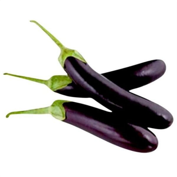“JD Son Seeds Company” 70-100 Seeds Pack of Brinjal Purple Long Seeds by JD