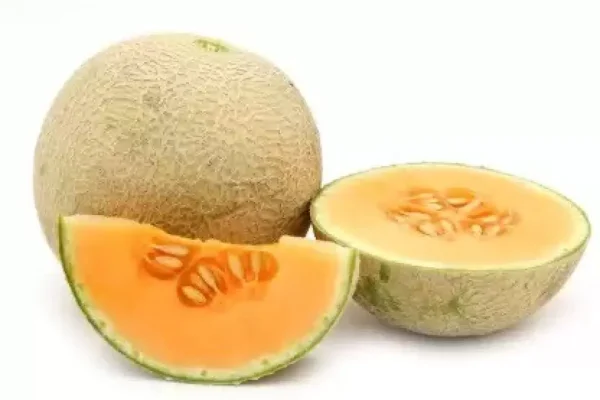 “JD Son Seeds Company” 10 Seeds Pack Ambrosia Cantaloupe Melon Seeds