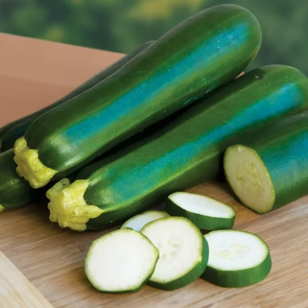 JD SON SEEDS COMPANY: Zucchini Dark Green – 25 Seeds for a Bountiful Harvest