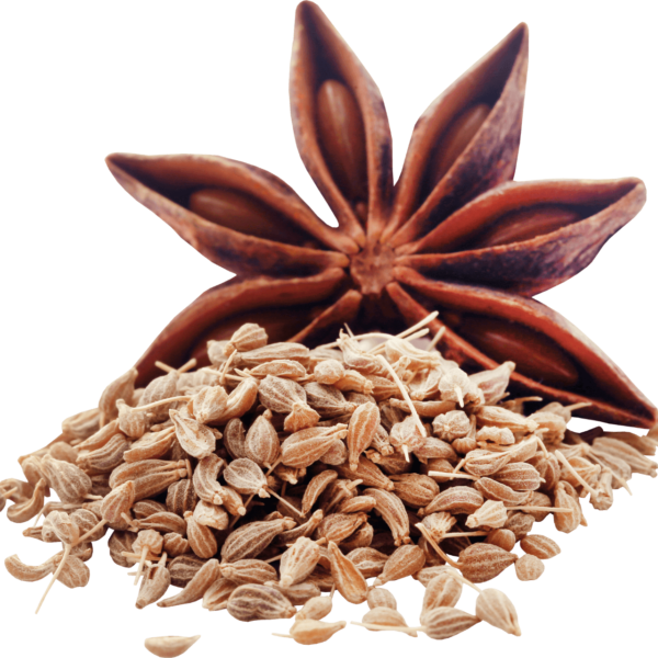 “JD SON SEEDS COMPANY” Anise Herb Seeds: Savor the Sweet Flavor of Anise in Your Garden”