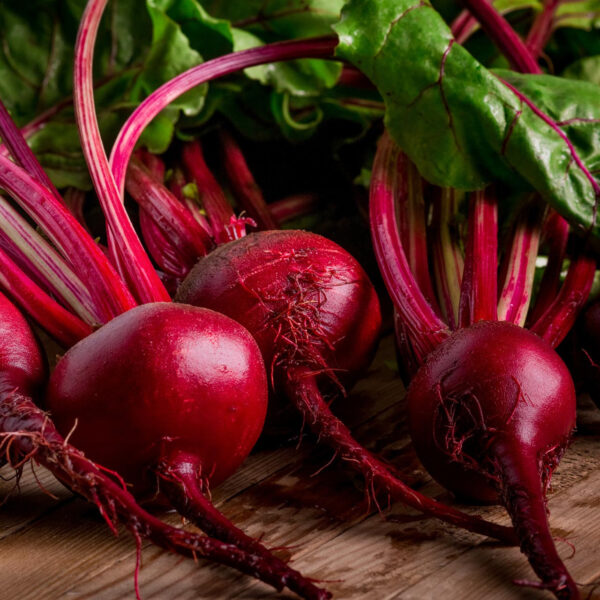 JD SON SEEDS COMPANY: Beet Detroit Dark Red ≈ 180 seeds – High-Quality Beet Seeds for Your Garden