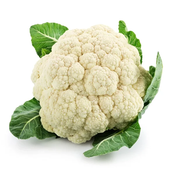 “JD Son Seeds Company” 65-80 Seeds Pack of Cauliflower Seed : Snowball Improved by JD