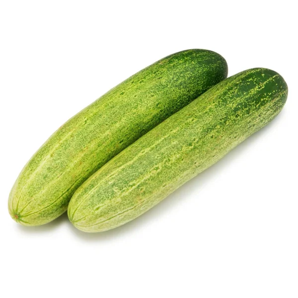 “JD Son Seeds Company” Cucumber ‘ American Black’ 15-20+ Seeds Pack | Non-GMO | Fresh Garden Seeds || Canadian Seed by The JD®