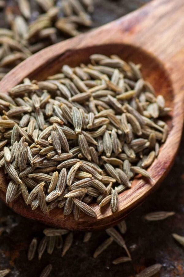 “JD SON SEEDS COMPANY” Cumin Herb Seeds: Add a Flavorful Touch to Your Garden and Cuisine”